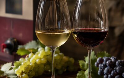 Gradazione Alcolica del Vino in Bag in Box: Vini Leggeri e Strutturati