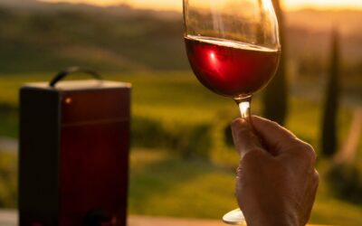 Qualità del Vino in Bag in Box: Come Riconoscerla e Degustarla