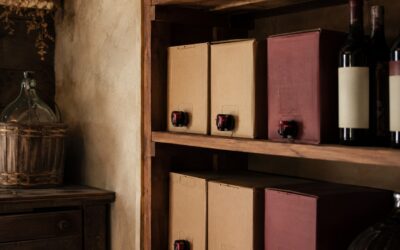 Scorta di Vino in Bag in Box in Cantina: la Guida per la Famiglia