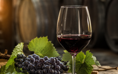 Solfiti nel Vino in Bag in Box: Cosa Sono e i Vini senza Solfiti Aggiunti