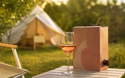 Vino in Bag in Box per il Campeggio e i Festival: Bere Bene all’Aperto