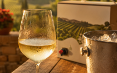 Vino in Bag in Box d’Estate: Come Tenerlo Fresco e alla Giusta Temperatura