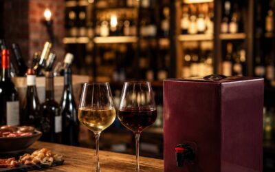 Vino in Bag in Box per Pub e Birrerie: Ampliare la Carta Vini
