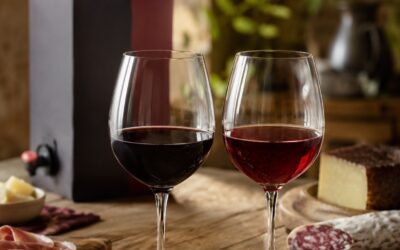 Vino Rosso in Bag in Box: Corposo o Leggero, Come Sceglierlo