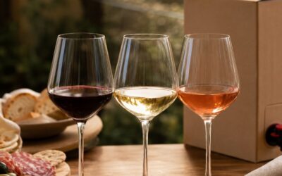 Vino Rosso in Bag in Box: i Colori e la Temperatura di Servizio