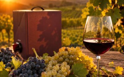 Vitigni per il Vino in Bag in Box: Quali Uve Rendono di Più