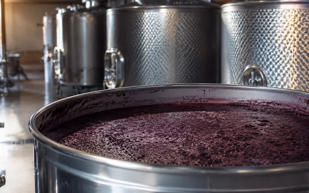 Come si fa il vino: dalla vendemmia alla bottiglia, e come vinificare la Malvasia