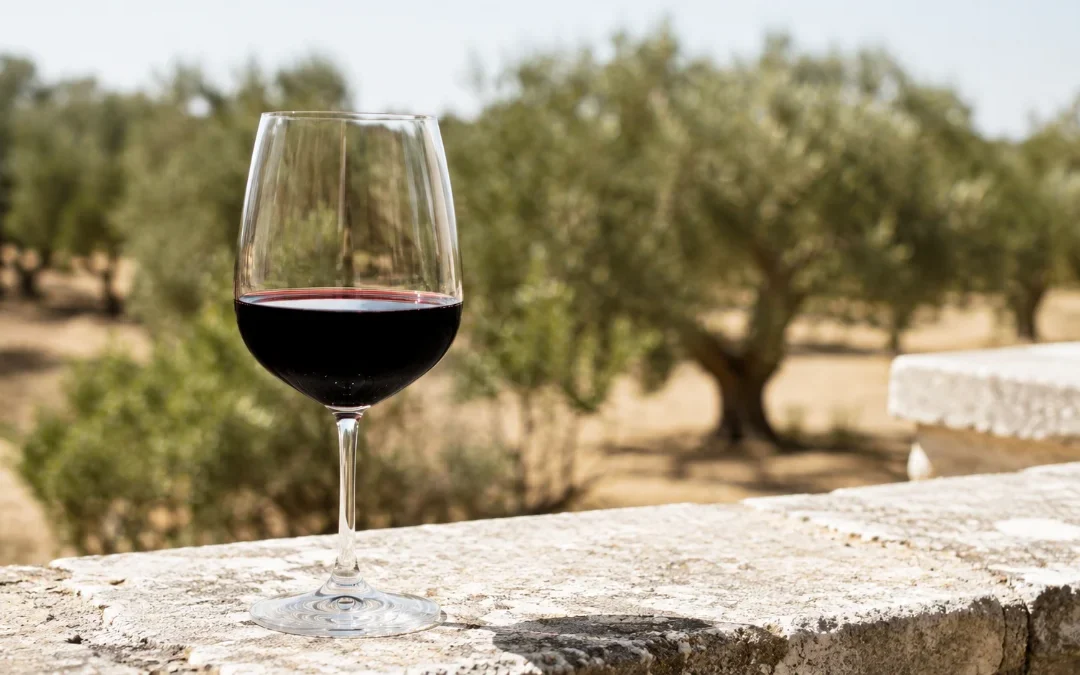 Vini pugliesi: elenco delle migliori denominazioni e come sceglierle