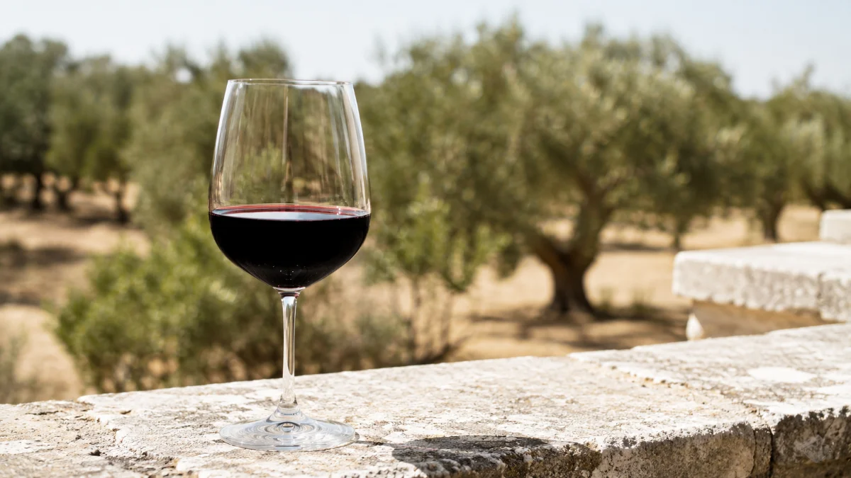 Calice di vino rosso pugliese su pietra calcarea con ulivi sullo sfondo