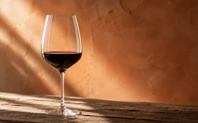 Vino rosso marchigiano: denominazioni, vitigni e migliori espressioni