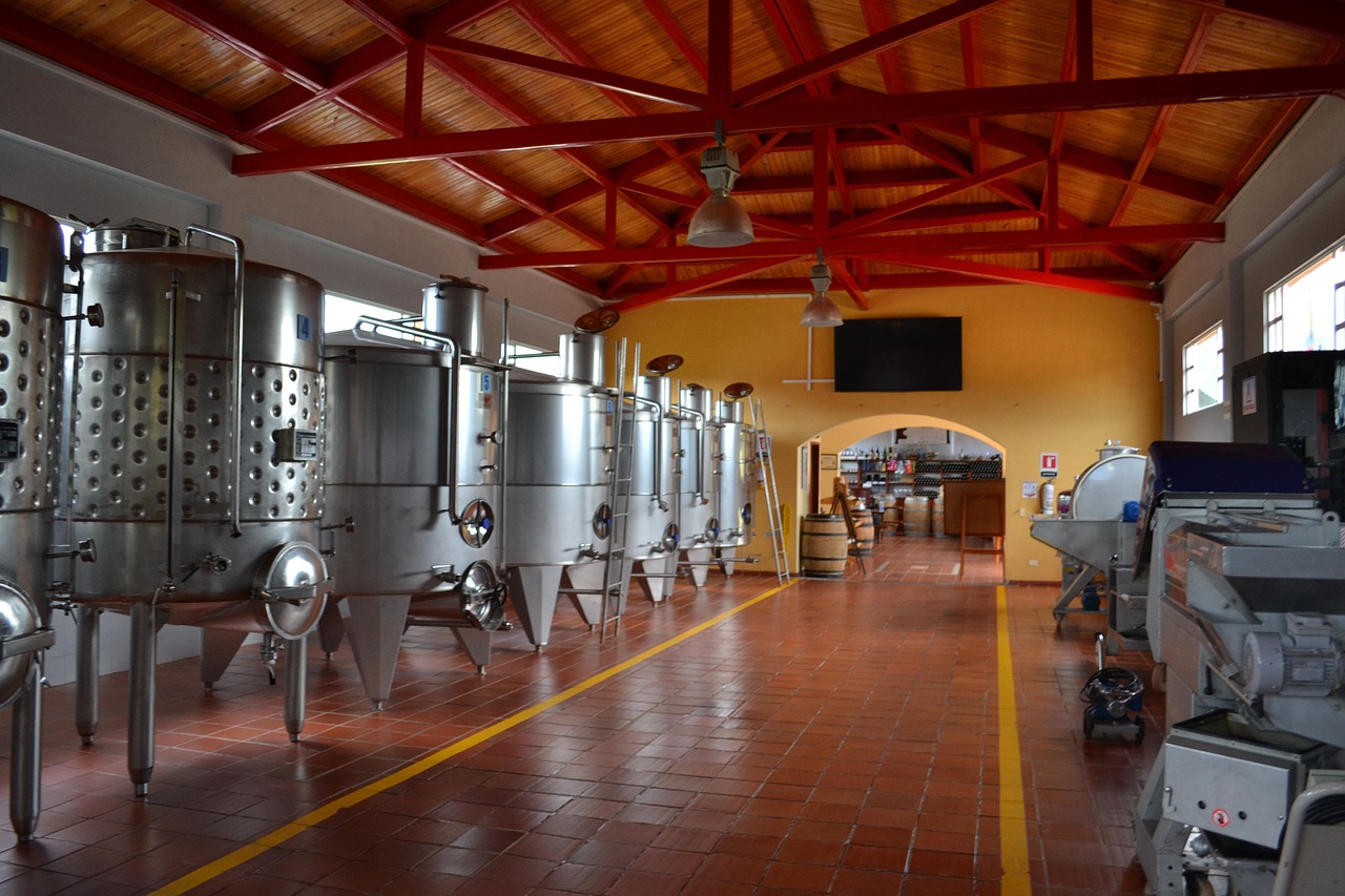 Vasche in acciaio di una cantina per la macerazione carbonica del vino novello