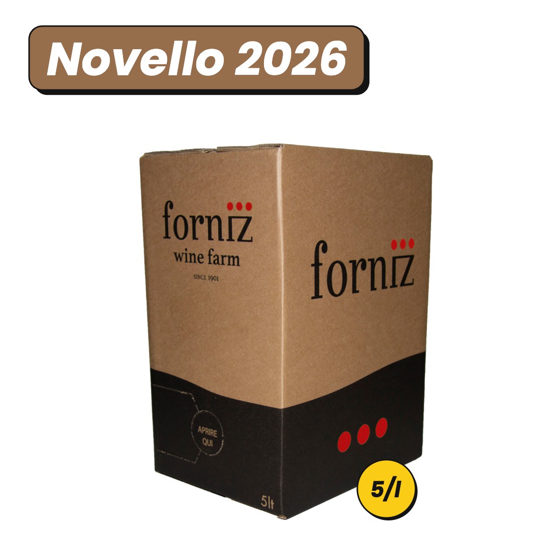Vino Novello 2026 Merlot in bag in box da 5 litri Forniz